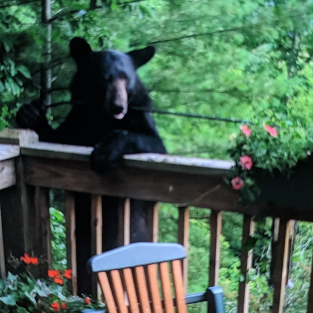 Meet your Posher, Susanne